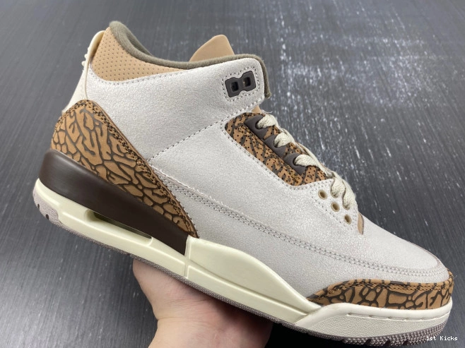 CT8532-102 Jordan Air Palomino 3 0816